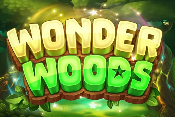11537 wonder woods